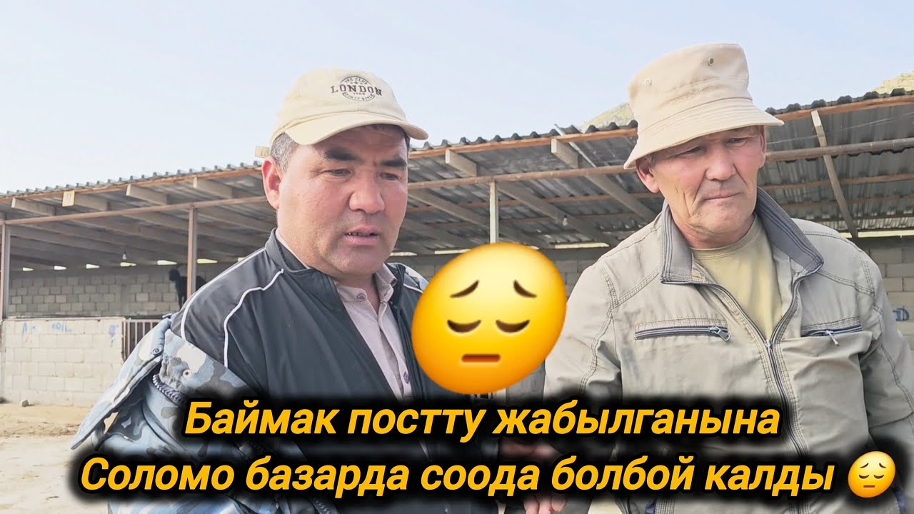 АЛА БУКА РАЙОНУ СОЛОМО МАЛ БАЗАРЫ БАЗАР КАНДАЙ БОЛДУ?