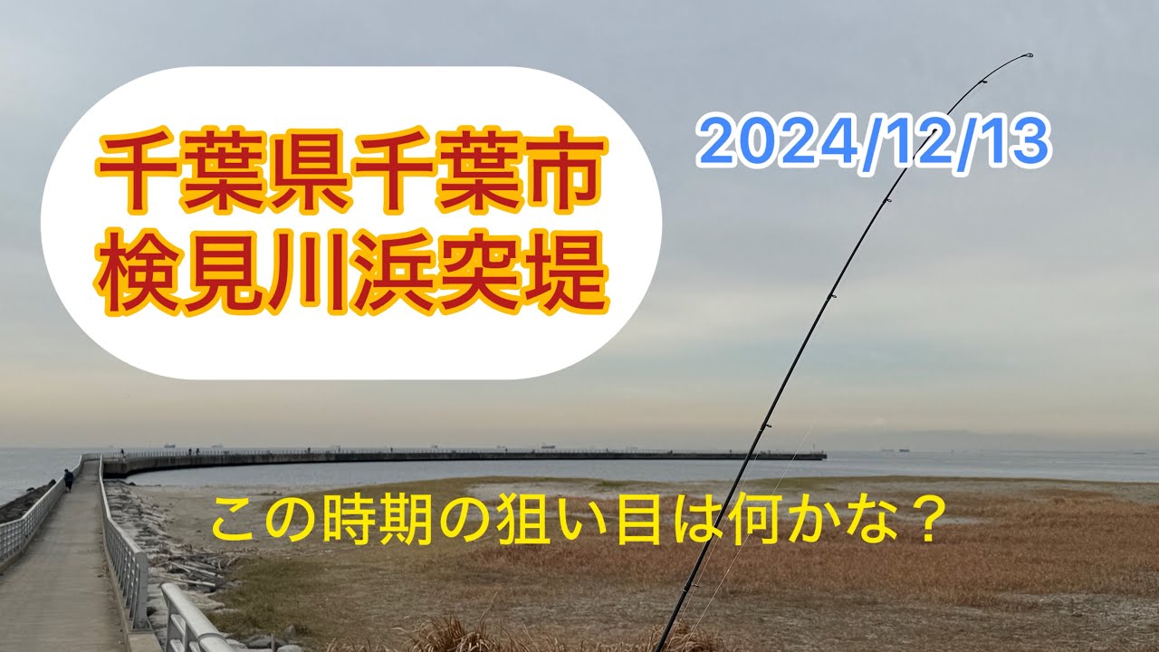 検見川浜突堤で何が釣れてるの？