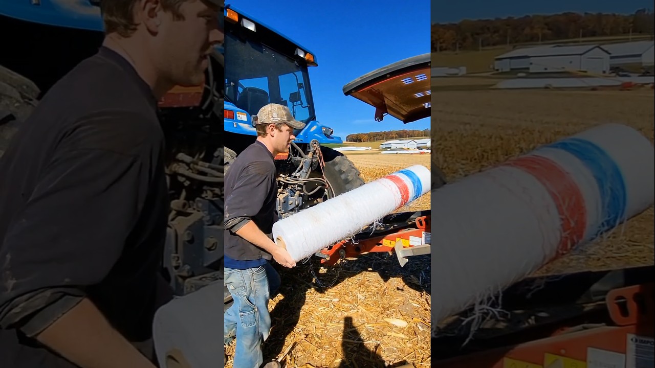 Загрузка рулонного пресс-подборщика сеткой! #сельское хозяйство #newholland #ферма #тюк #фермерст...