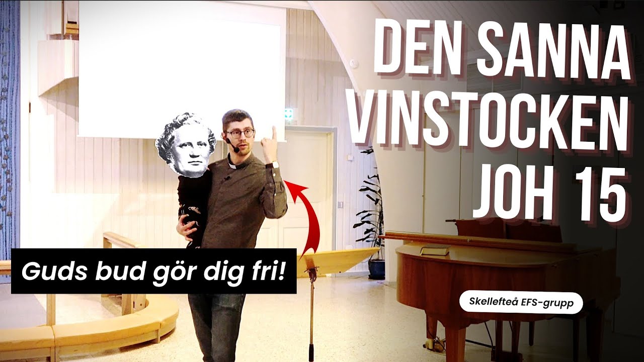 Den sanna vinstocken - En predikan över Johannes 15