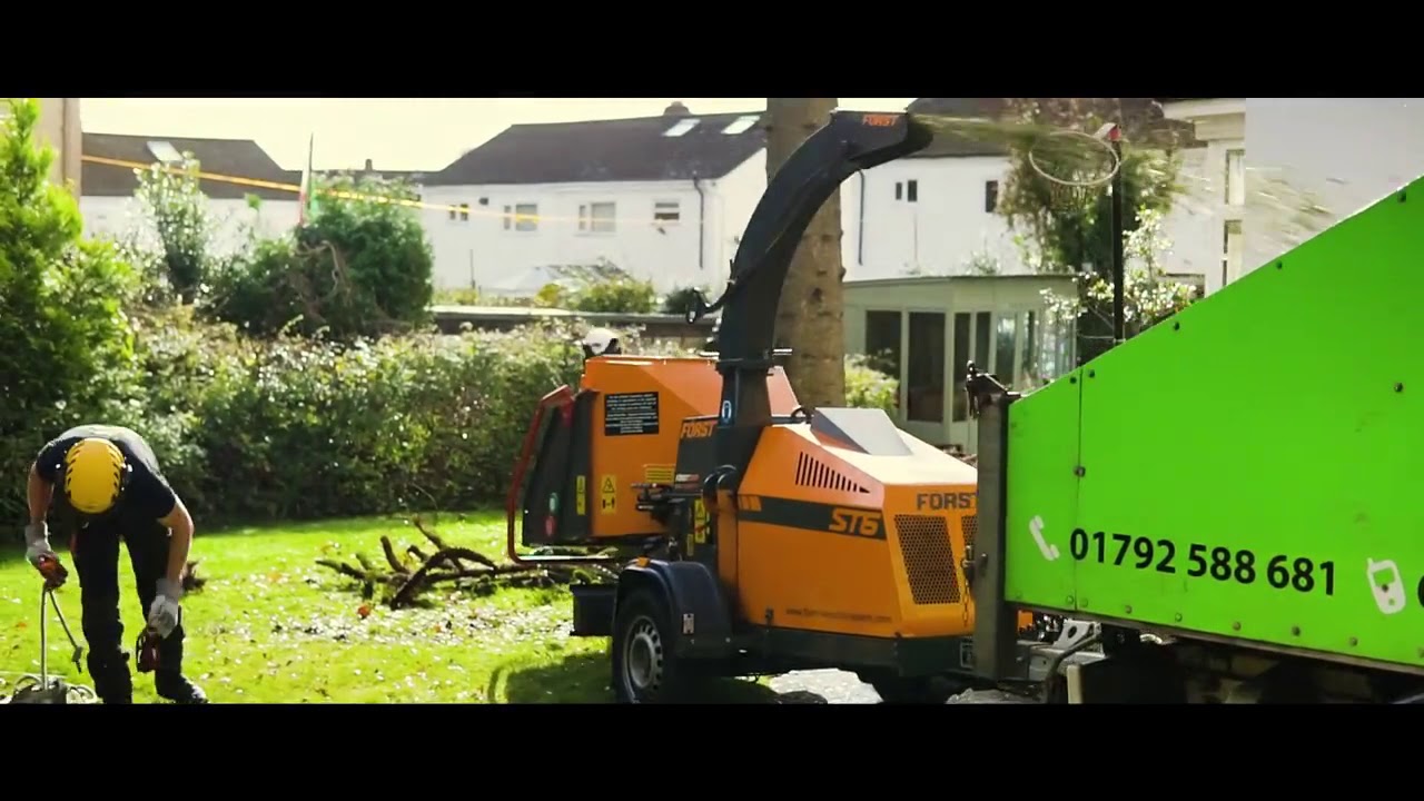 Monkey Tree Care Ltd