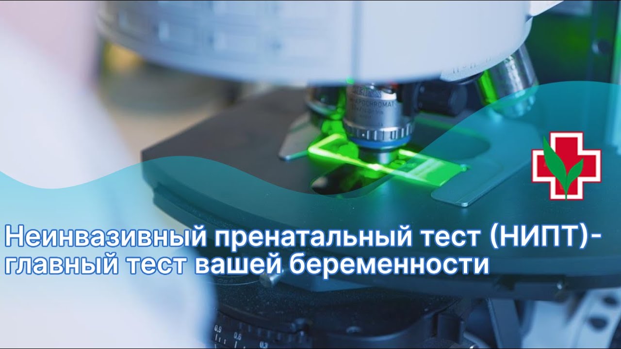 Неинвазивный пренатальный тест (НИПТ)- главный тест вашей беременности