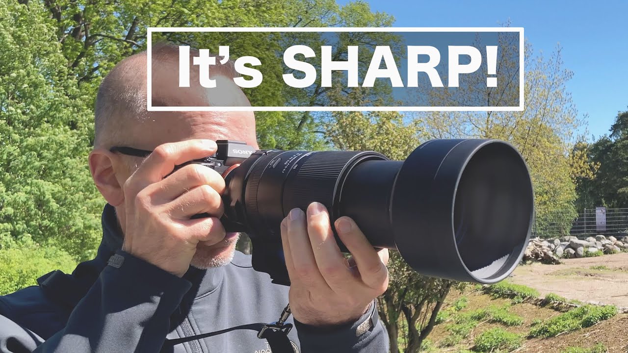 Tamron 150-500mm F5-6.7 – Резкий супертелезум