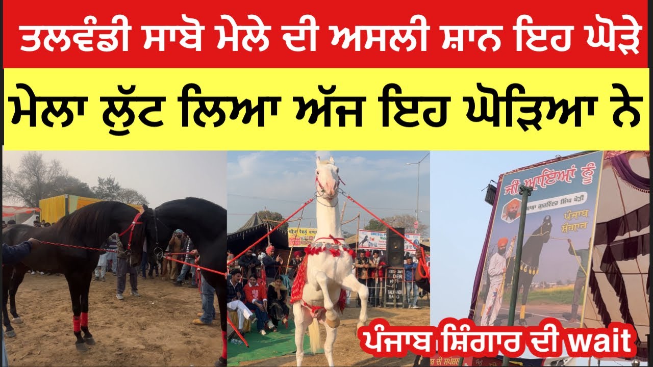 ਤਲਵੰਡੀ ਸਾਬੋ ਮੇਲੇ ਤੇ ਇਹਨਾ ਘੋੜਿਆ ਨੇ ਕਰਾਤੀ ਪੂਰੀ ਐਂਡ ਗੱਲਬਾਤ ਟਕ ਜਰੂਰ ਦੇਖੋ ਇਹ ਵੀਡੀਓ #live #horse 