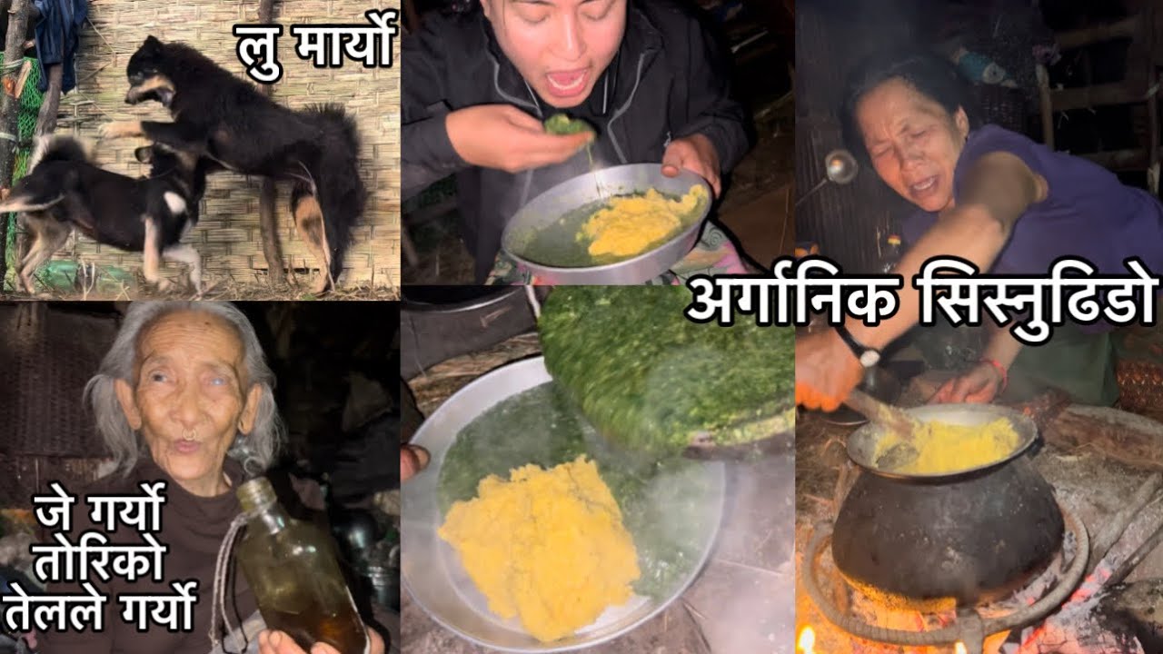 कालुकालुको Danger Fightपर्यो।सिस्नु ढिडो party|तोरीको तेलले कपालसेतो भोरेबुजु nepalifood villagelife