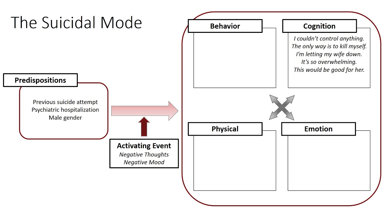 Case of David, Part 2 of 2 (Case Conceptualization)