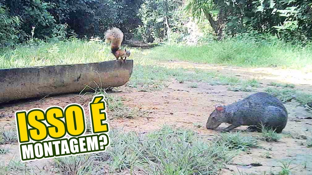 SE NÃO É CONFIANÇA ENTÃO ME EXPLICA O QUE É ISSO