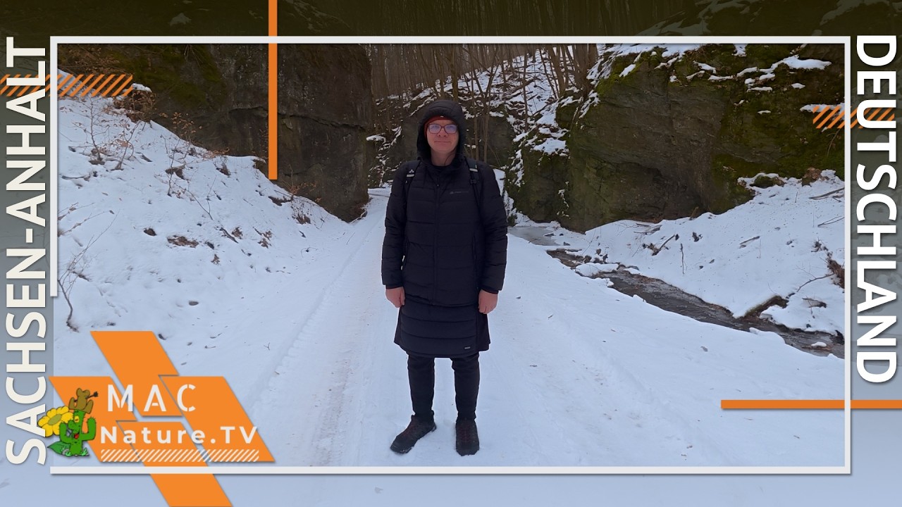Harzer Wintertour