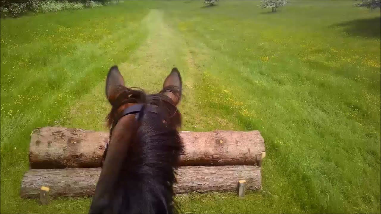 NCH Fun Ride - Boom💥