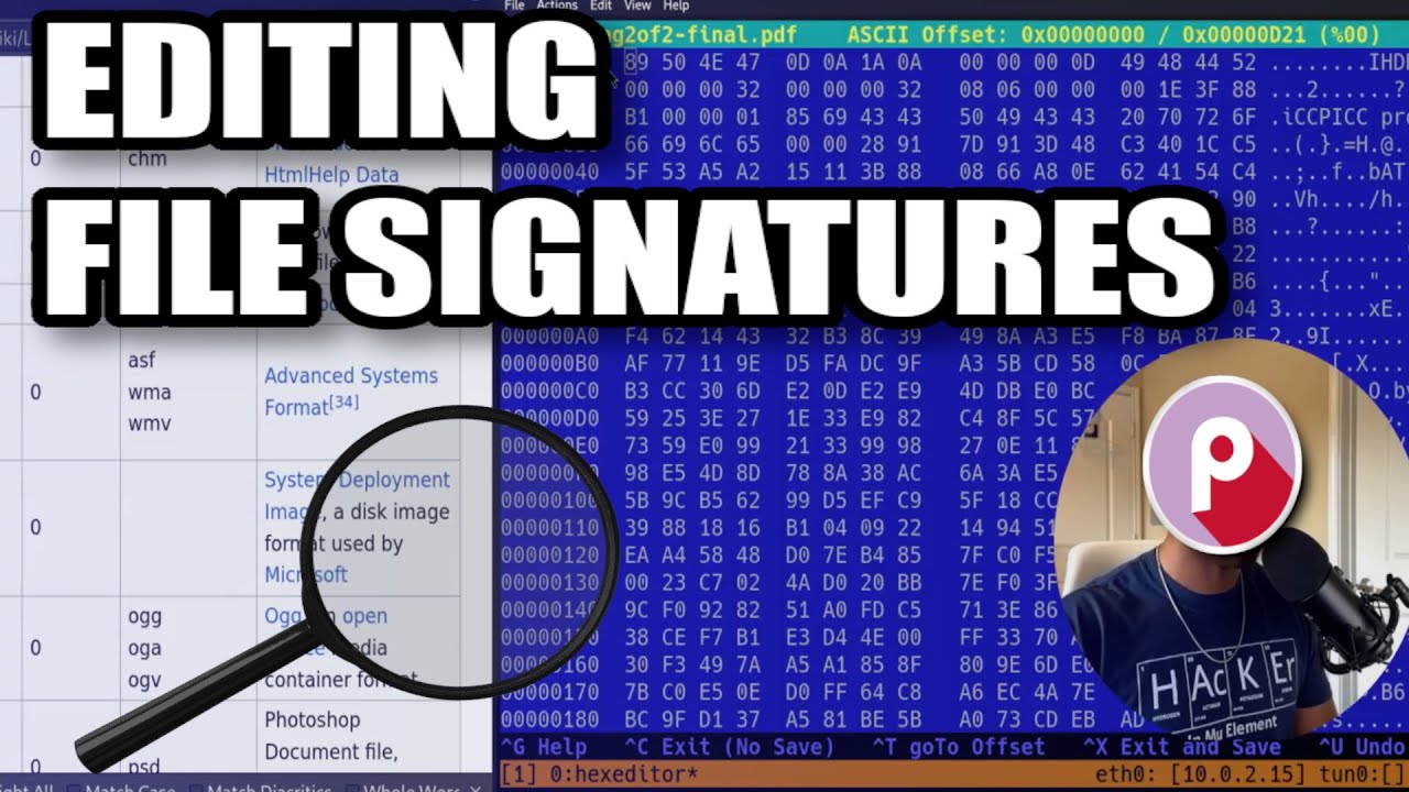 CTF Forensics Fun: редактирование шестнадцатеричных кодов для поиска скрытых флагов