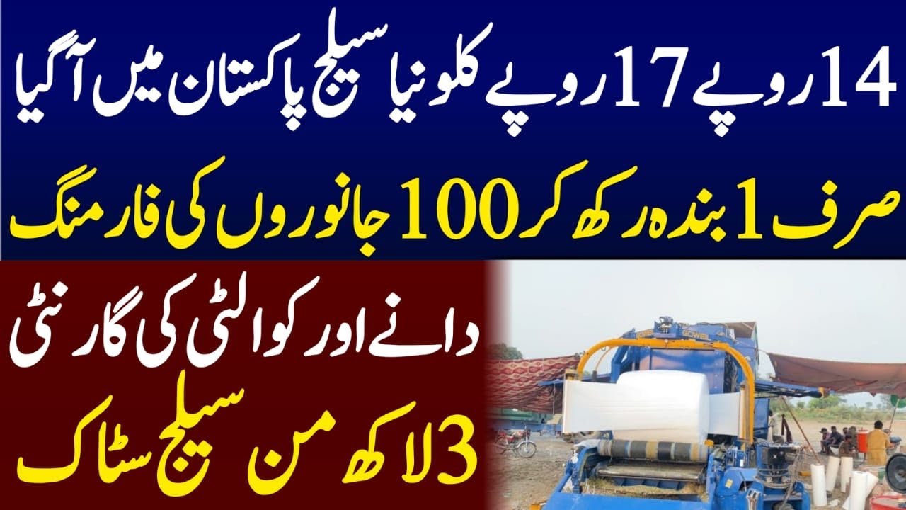 14 RS par kg silage in pakistan ￼new silage quality silage 