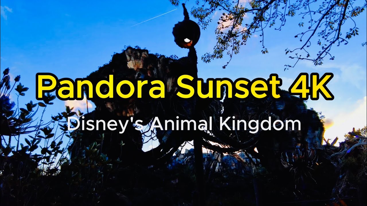I Filmed the Most Unreal Sunset on Pandora — Avatar Fans NEED to See This! 4K