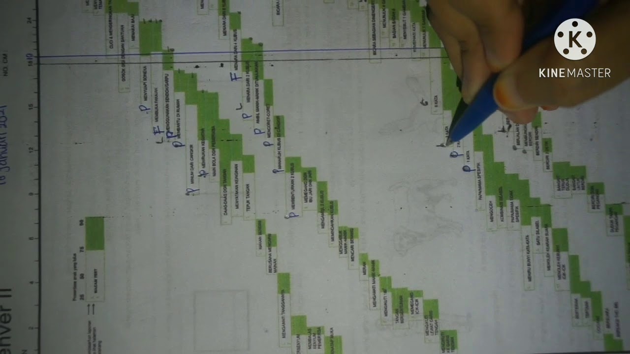 Interpretasi DDST II (Denver Development Screening Test)