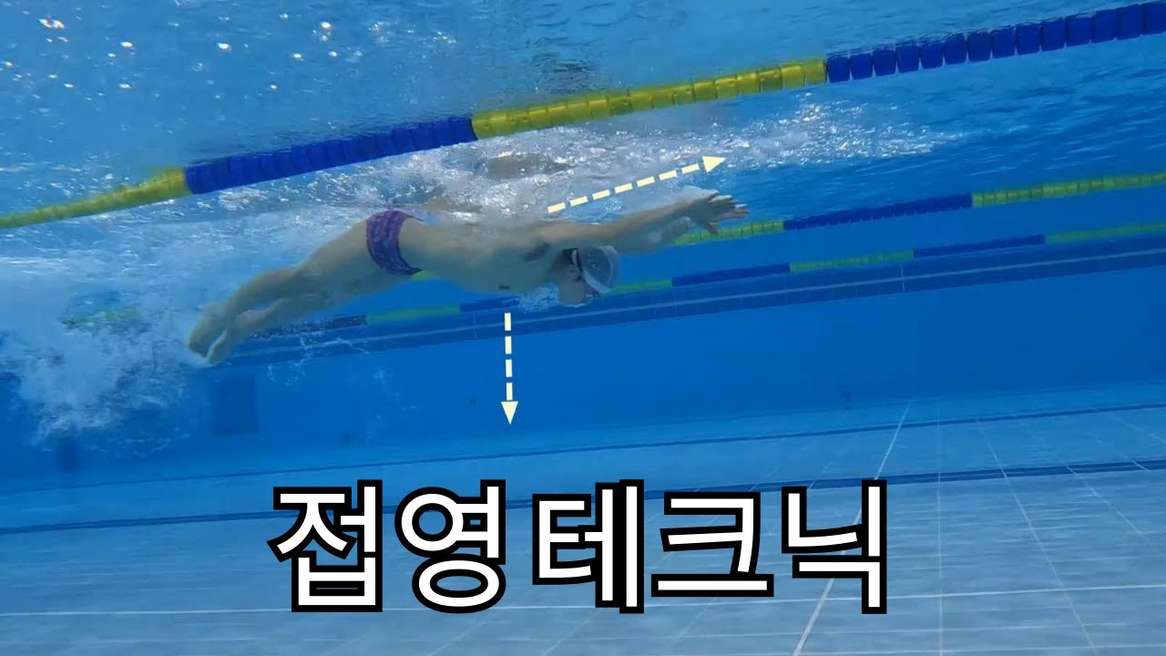 접영 중급에서 상급으로 가는 1가지방법