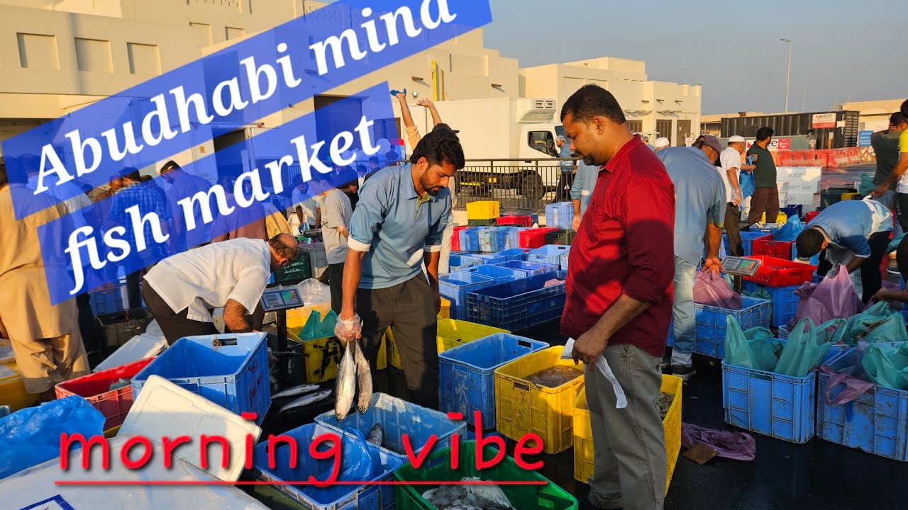 Abudhabi  Mina fish market early morning  vibe(Fish Auction)