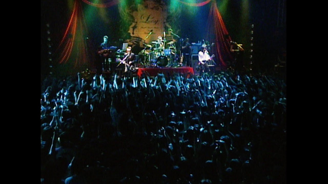 Lucy /「DOUBLE BIG BANG (Live at CLUB CITTA' 2004/7/9)」