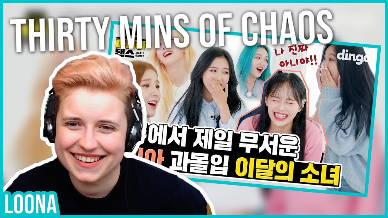 REACTION to LOONA - WHY NOT MAFIA DANCE w/ DINGO MUSIC