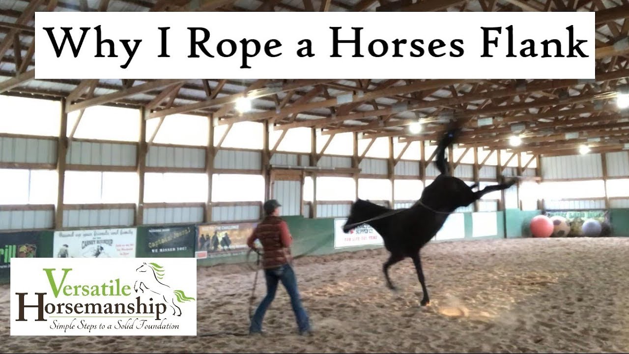 Why I Rope A Horses Flank // Versatile Horsemanship