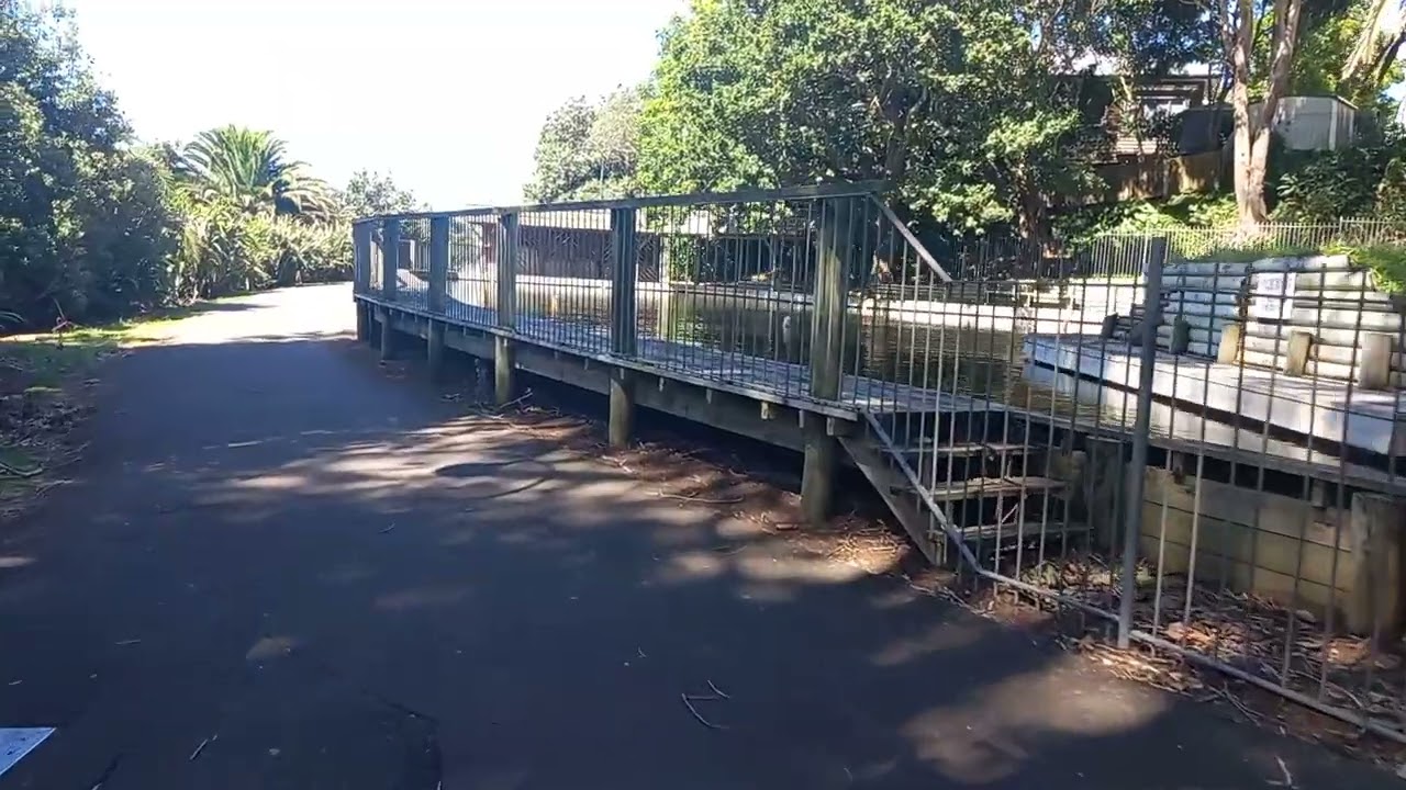 Afternoon walk at Panmure Basin (Part 6)@loimulipolaful
