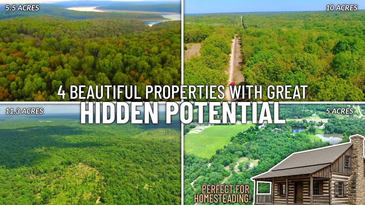 4 Properties with Hidden Potential: Acreage in the Ozarks (Only $1,500 Down - Owner Financing)