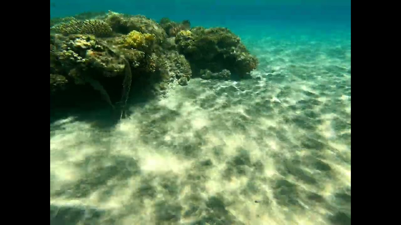 Snorkelling at the Baron Palace Sahl Hasheesh