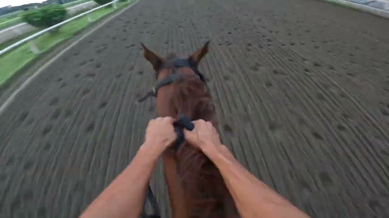 Trabajo matutino de “La Emperatriz” en el Hipódromo Presidente Remon de Panama.