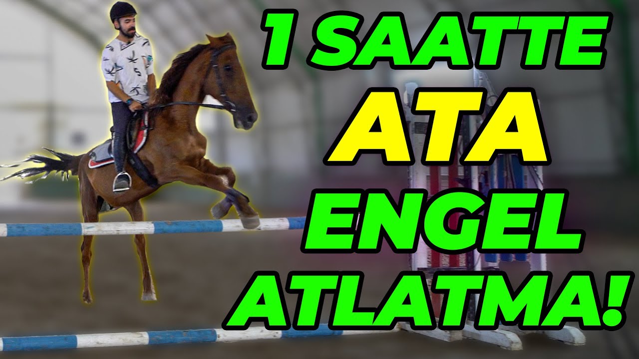 MEYDAN OKUMA! Atla 1 Saate Engel Atlayabilir Misiniz? - Ahal Teke Binicilik Tesisleri