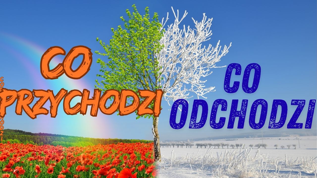 CO ODCHODZI - CO PRZYCHODZI ❤️ WYBIERZ GRUPĘ 💢