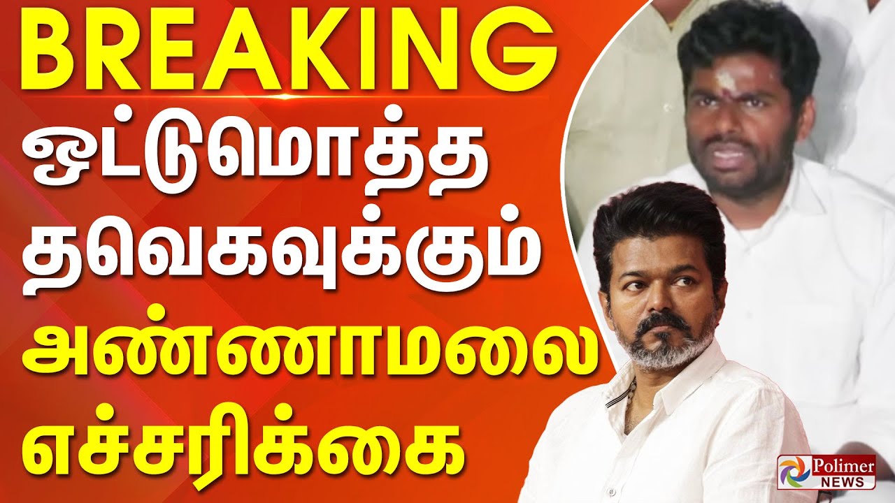 ஒட்டுமொத்த தவெகவுக்கும் அண்ணாமலை எச்சரிக்கை | TVK VIJAY | #breakingnews