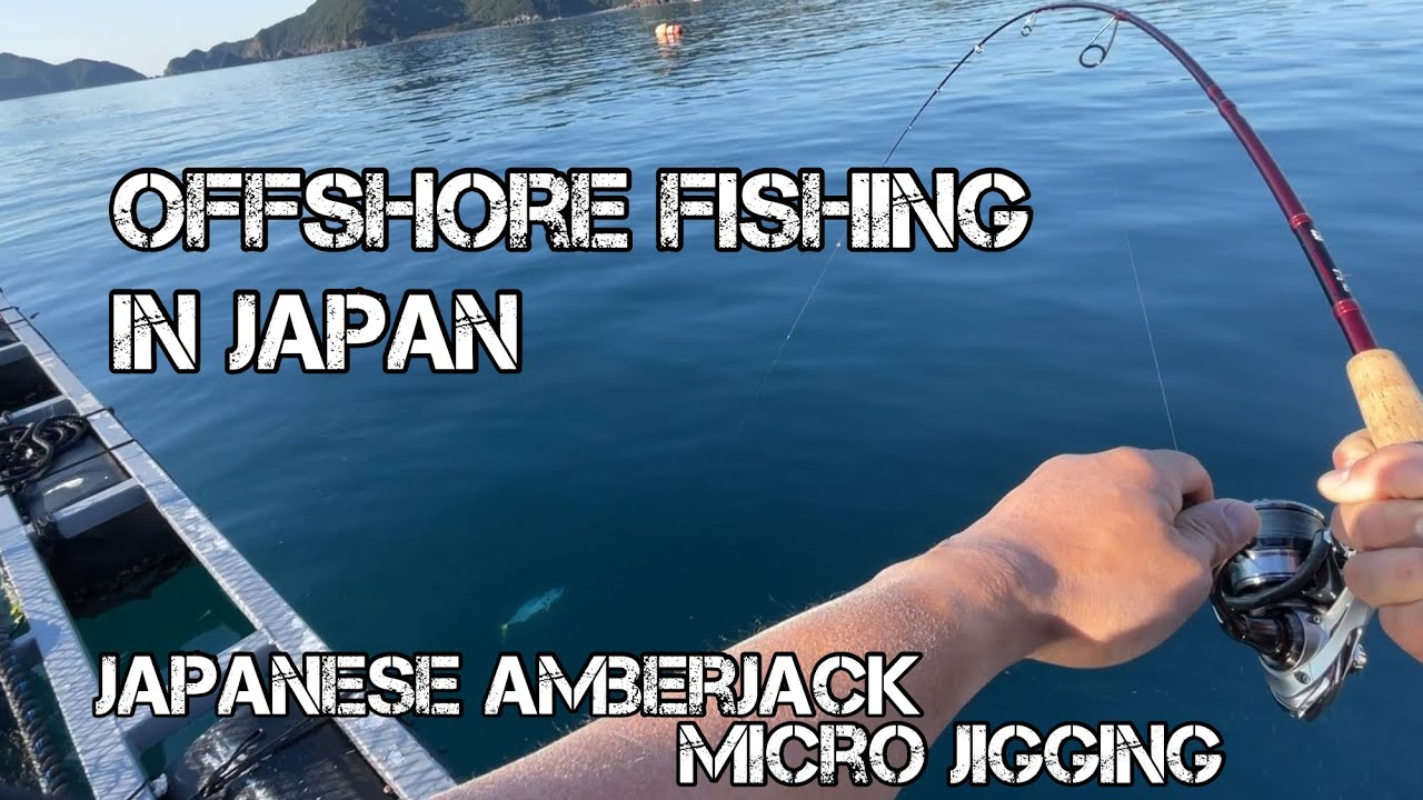 Offshore Fishing in Japan Around a Fish Farm - Yellowtail Amberjack