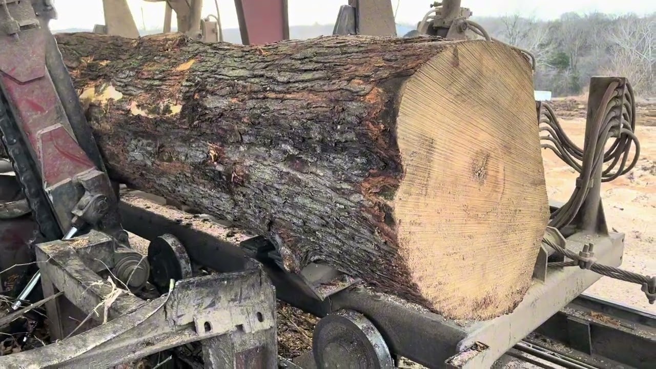 Sawing a big 10 foot soft maple log # 80 