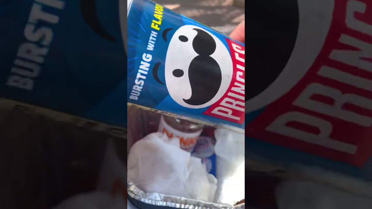 Como organizar os lanches para os parques da Disney e da Universal em Orlando em 2025