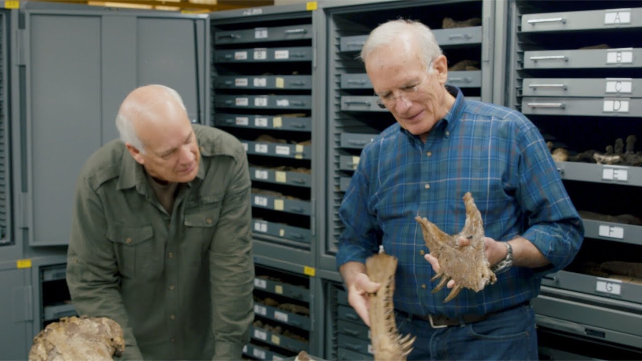 How are dinosaur footprints and eggs evidence for a global Flood? - Dr. Art Chadwick