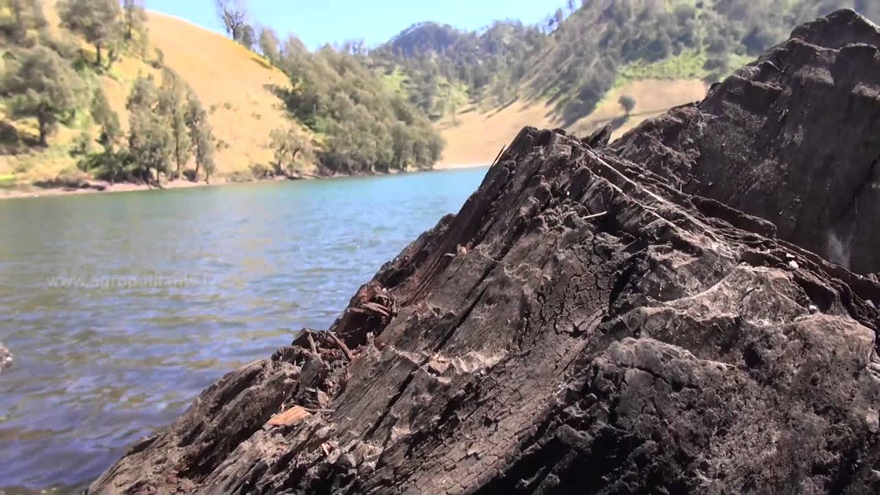 Ranu Kumbolo Trailer 03-10-2013