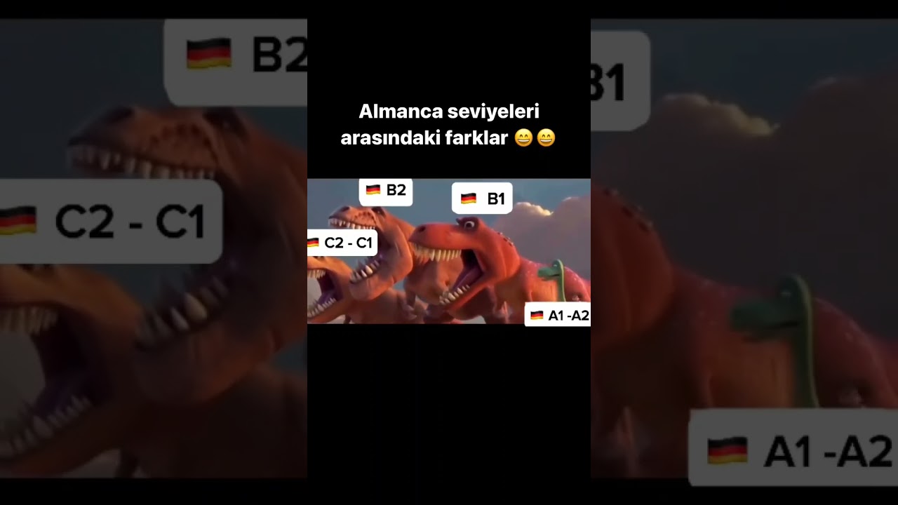 Almanca a1 sevyesi anlatan video🤠