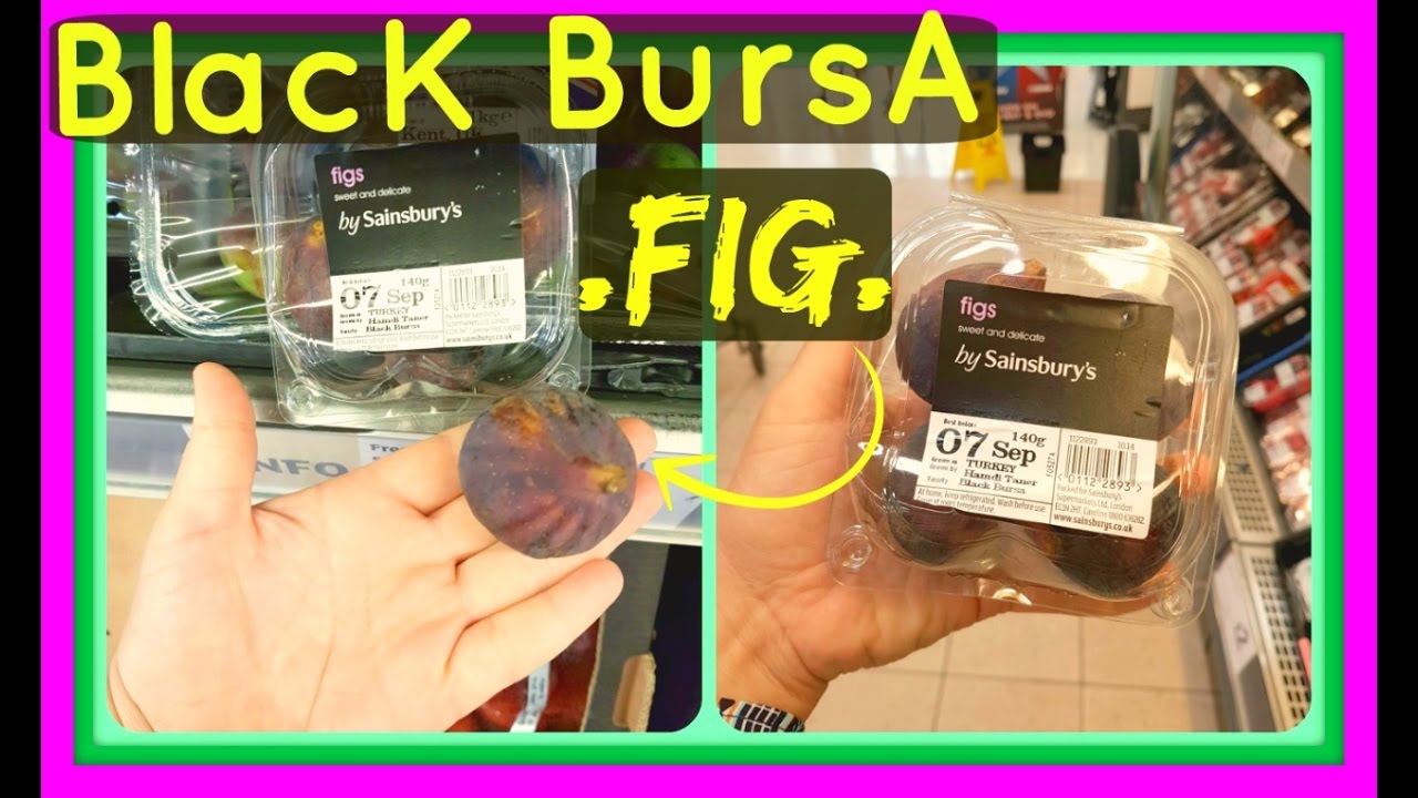 BlacK Bursa 