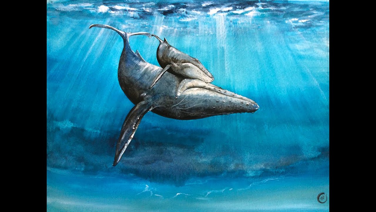 Watercolor Underwater Whale Painting Demonstration