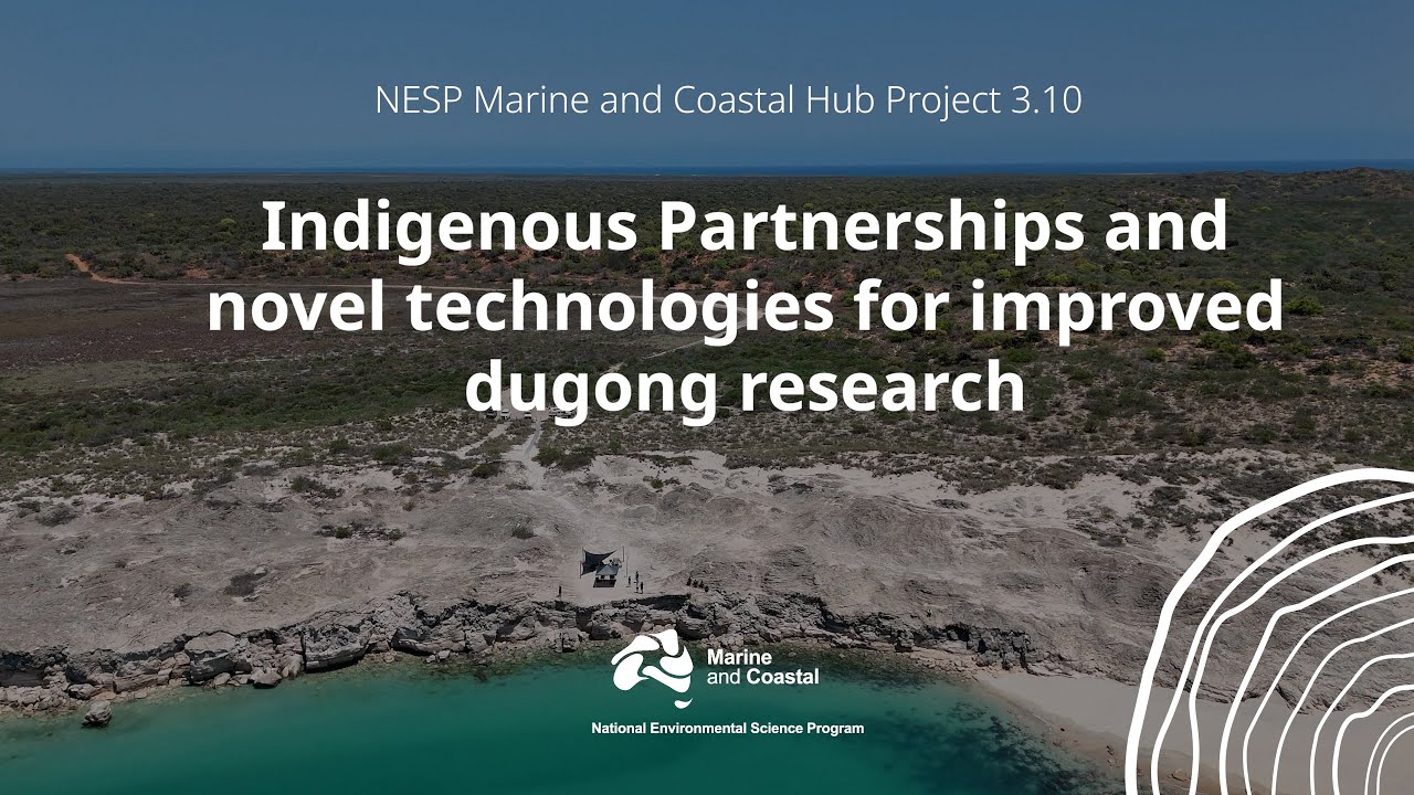 Dugong Monitoring Drone Training Workshop
