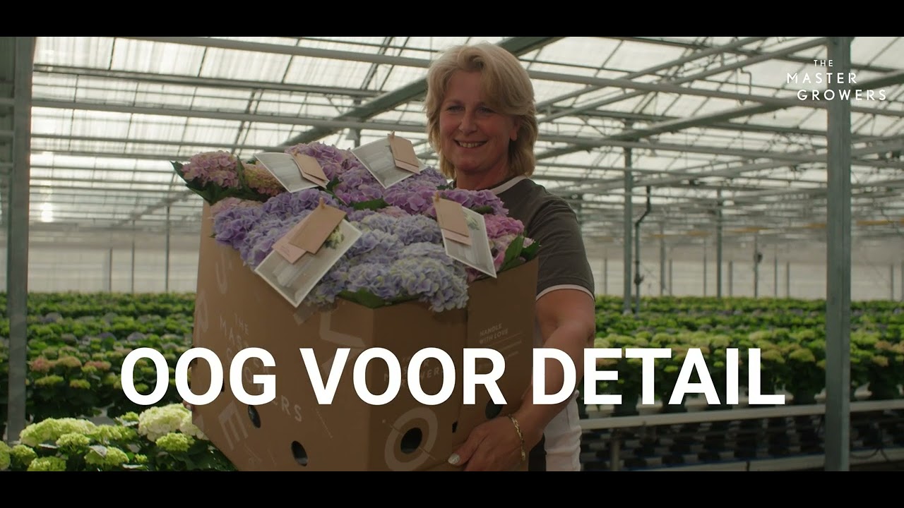 The Master Growers adverteert via WestlandReclame.TV