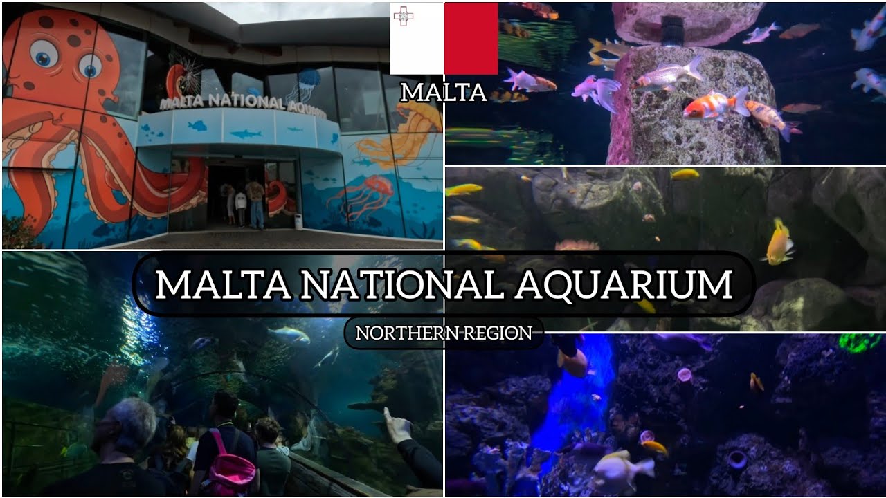 Malta National Aquarium, San Pawl il-Baħar (St Paul's Bay) - Northern Region / MALTA 🇲🇹