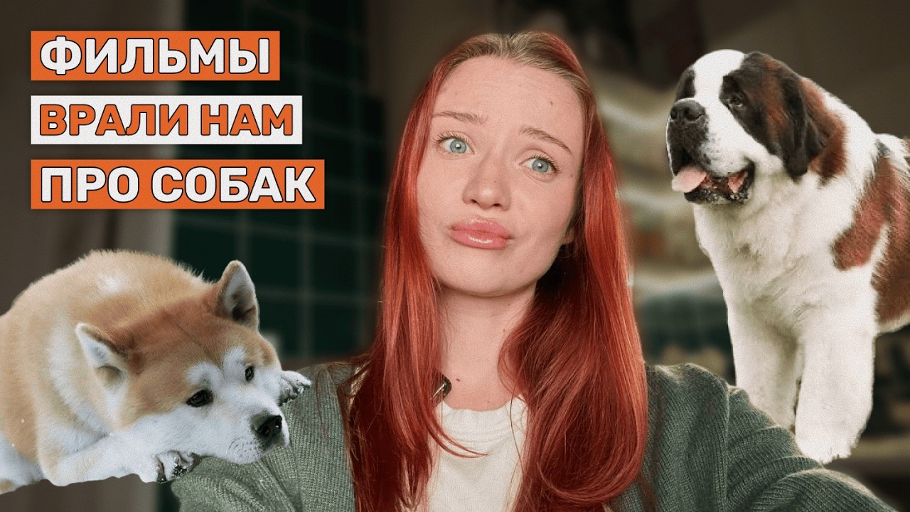 Как кино и мультики испортили нам понимание собак