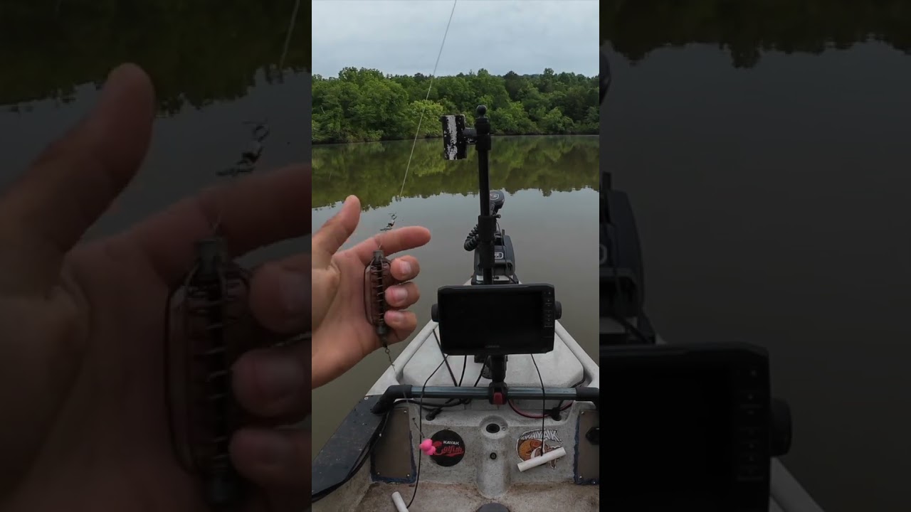 Simple & Easy Carp Rig
