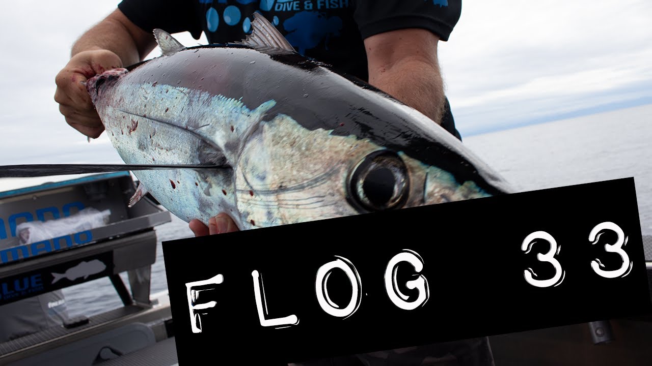 Flog 33 // Tuna Tastic