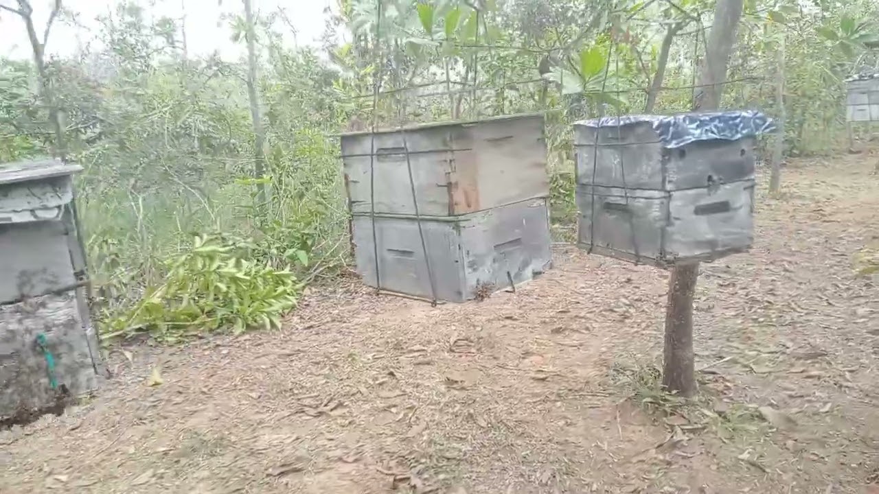 después del baile del rastrillo, olvidó.