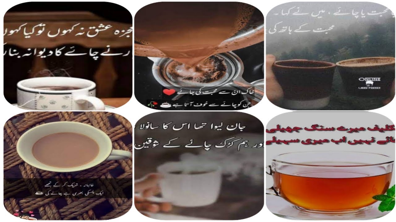 |poetry for chai lover's|Tea Poetry For WhatsApp| Chaya Shayari| Tea Quotes|Best Chai poetry|#viral