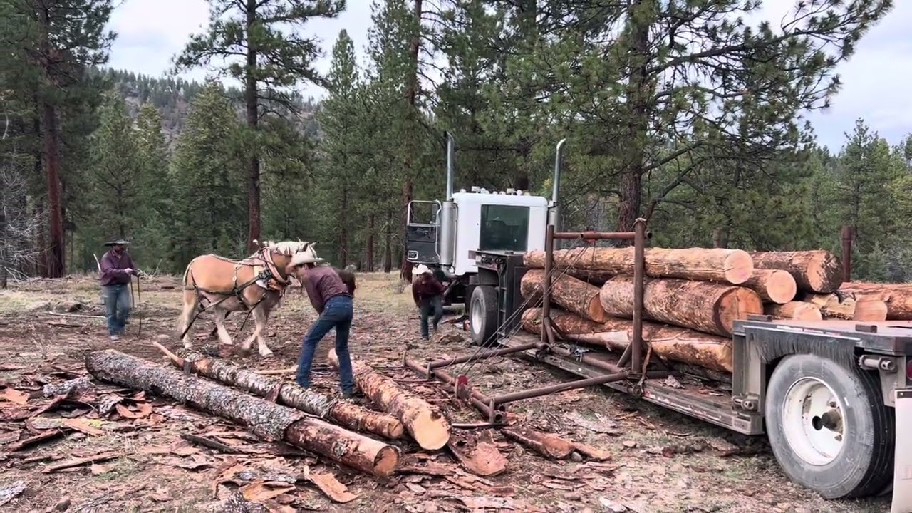 I Built a Horse-Powered Log Loader