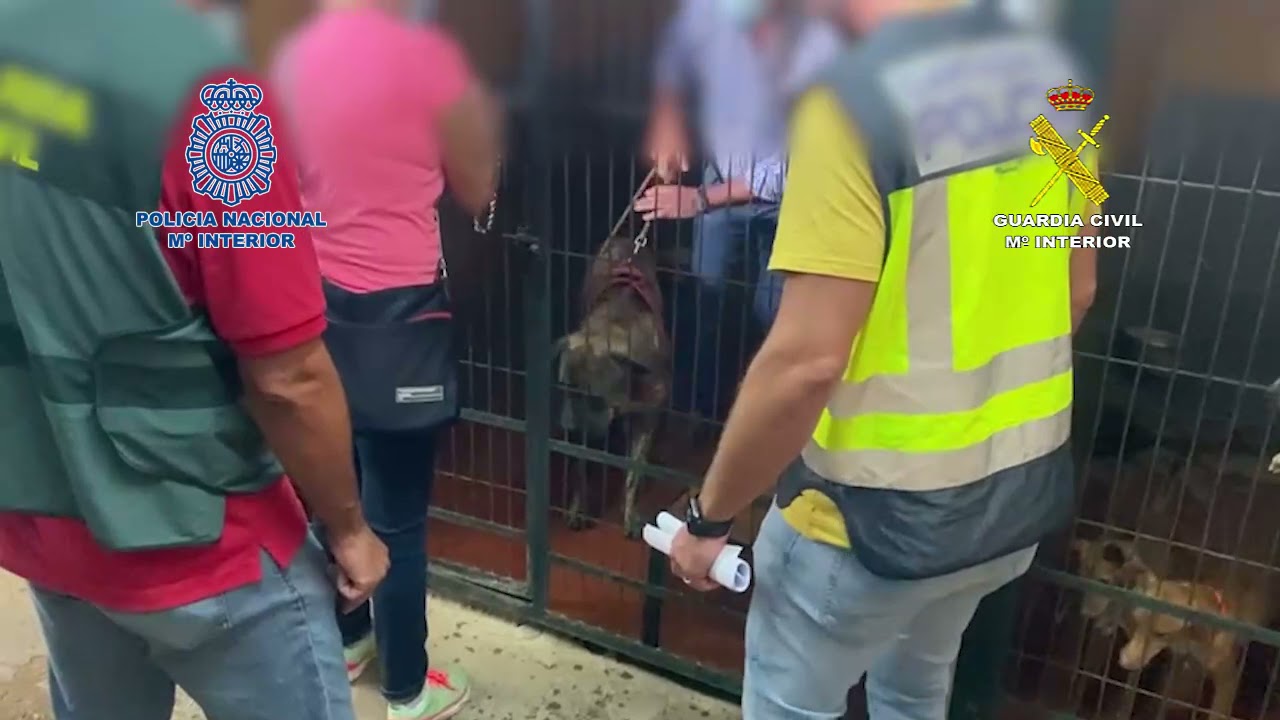 Encuentran 37 perros robados en una finca en Alcalá de Guadaíra