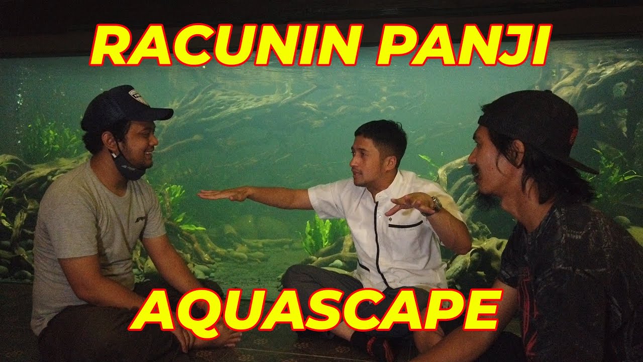 #EPS36 YOUTUBER PERTAMA YANG LIAT LANGSUNG SUPER MEGATANK
