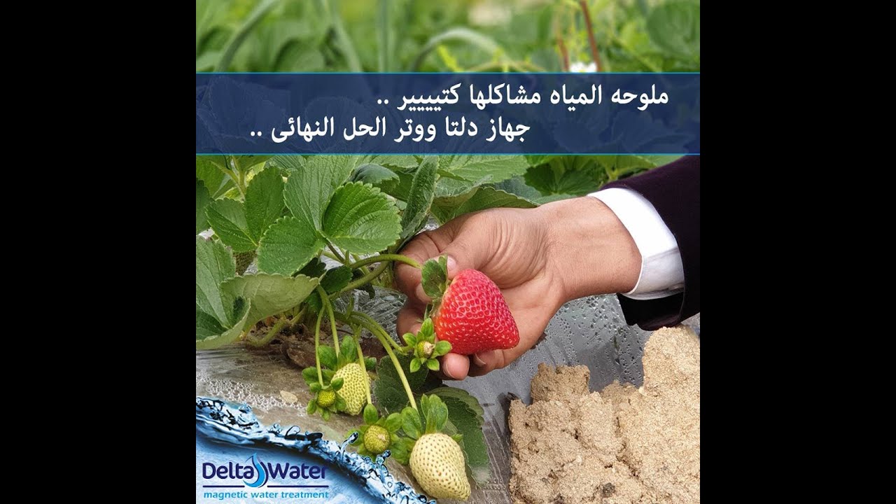 دلتا ووتر حل لمشاكل إستصلاح الأراضي القديمة والحديثة ومعالجة مشاكل الملوحة حتى 8000 ppm