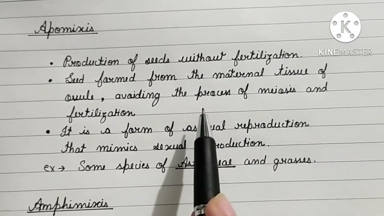 Difference between Apomixis and Amphimixis  / BIOLOGY Bubble / class 11th and 12th biology NCERT